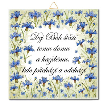 God bless that house - cornflowers - CV 50 15 x 15 cm