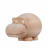 Hippo money box